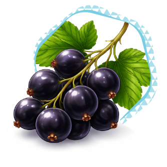 Currants